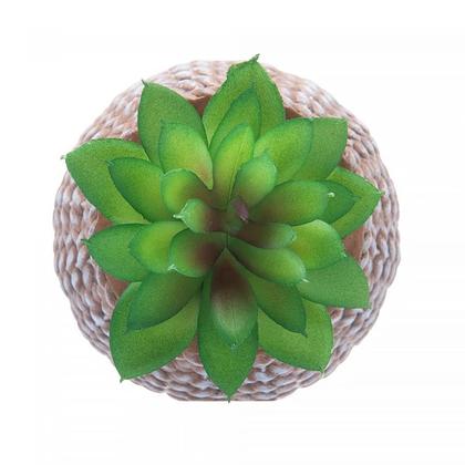 Imagem de Cachepot de Cerâmica com Suculenta Sisal 9,5x14,5cm 61606 - Wolff