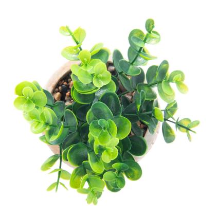 Imagem de Cachepot de cerâmica com suculenta Trelica 10 x10 x 18 cm Wolff - 61610