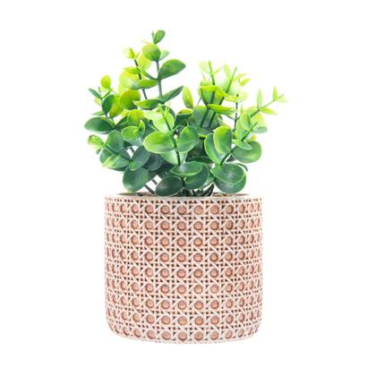 Imagem de Cachepot de cerâmica com suculenta Trelica 10 x10 x 18 cm Wolff - 61610
