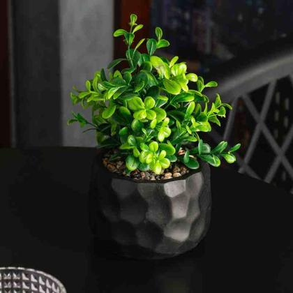Imagem de Cachepot de Cimento com Planta Artificial Prisma Preto Wolff