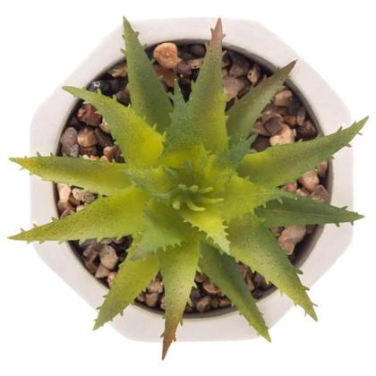 Imagem de Cachepot De Cimento Com Suculenta 7,5x9,5cm Wolff Geométrico Decoração Artificial