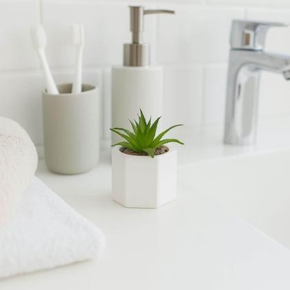 Imagem de Cachepot De Cimento Com Suculenta 7,5x9,5cm Wolff Geométrico Decoração Artificial