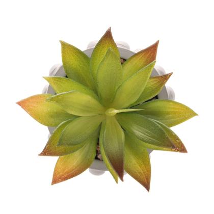 Imagem de Cachepot de Cimento Com Suculenta Bubbles Cinza Claro 10cm X 17cm - Wolff