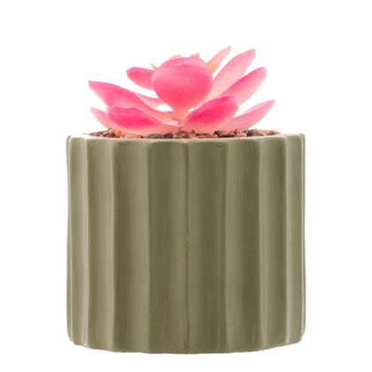 Imagem de Cachepot de Cimento com Suculenta Verde 7,5cm x 10,5cm