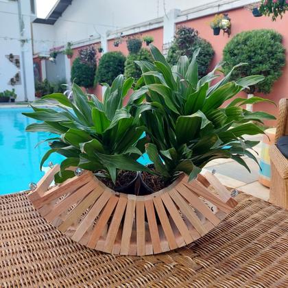 Imagem de Cachepot de Madeira Rustico Cesto Para Plantas E Orquideas