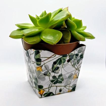 Imagem de Cachepot de Papel Pote 6 PP 7x7x5,5cm Trevo com 10 unidades