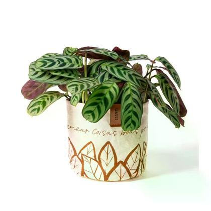 Imagem de Cachepot de tecido - naturals uatt