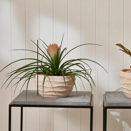 Imagem de Cachepot em Cimento Bege Waves 18x10cm