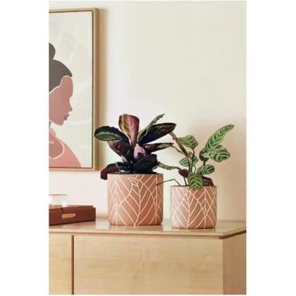 Imagem de Cachepot em cimento