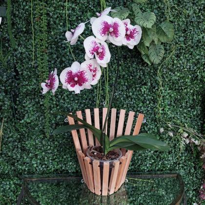 Imagem de Cachepot Porta Vaso Madeira Cônico Orquídeas E Plantas