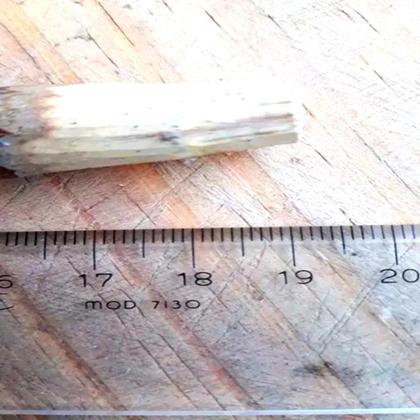 Imagem de Cachimbo de Jurema Mestres Caboclo Xamanico Indigena Banho de 7 Ervas Proteção Espiritual Kit