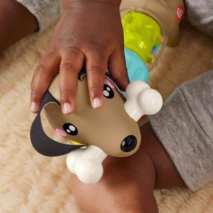 Imagem de Cachorrinho Dachshund Salsisha Fisher-Price - Mattel HTW91
