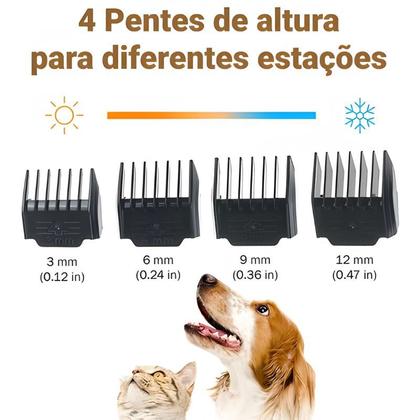 Imagem de Cachorro Toso Profissional: Cortes Precisos para o Seu Amigo