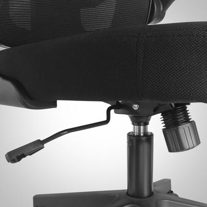 Imagem de Cadeira de Escritório Ergonômica Premium Fly Suporte Para Lombar Ajustável