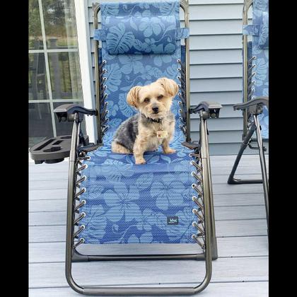 Imagem de Cadeira Espreguiçadeira Praia Reclinavel Piscina Jardim Quintal Lazer Verao Varanda Dobravel Portatil Pescaria Acampamento Ar Livre Gravidade Zero