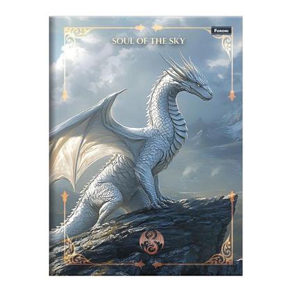Imagem de Caderno espiral universitario capa dura 01m foroni drakos 4x80fls