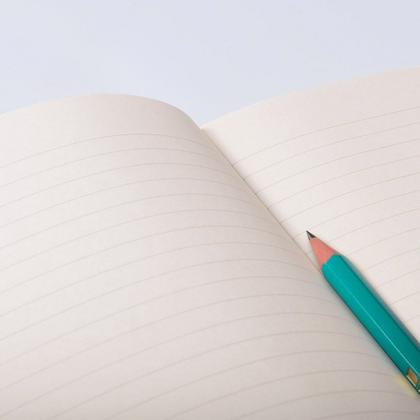 Imagem de Caderno Pautado taccbook Coral 14x21 Flex