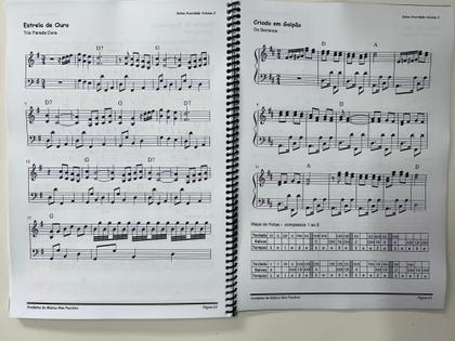 Imagem de Caderno Solos Acordeão Acordeon Gaita Volume 2 - 83 músicas