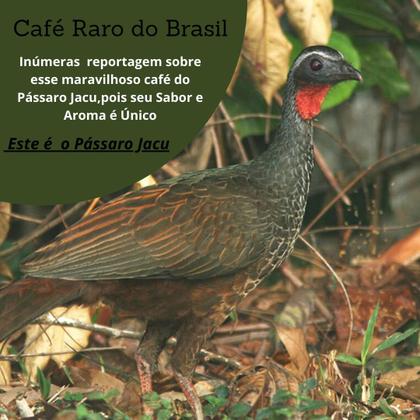 Imagem de Café da Ave Pássaro Jacu Bird 150 Gramas em Grãos Torra Média