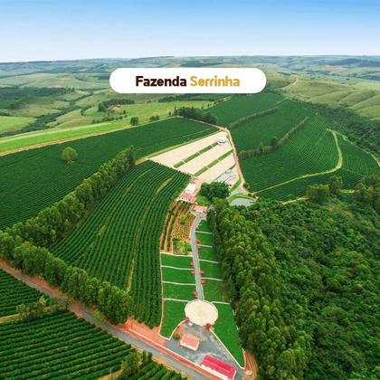 Imagem de Café Especial 1kg Grão 100% Arábica - Café Campos Altos