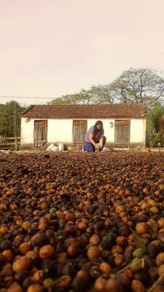 Imagem de Café Especial - Castanha E Açúcar Mascavo 250gr - Em Grãos