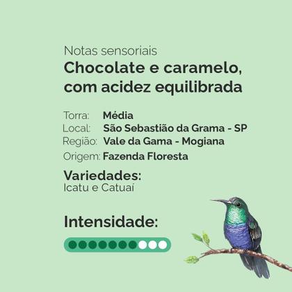 Café Fazenda Floresta Especial Clássico- Torrado em grãos 1kg Imagem de Café Fazenda Floresta Especial Clássico- Torrado em grãos 1kg