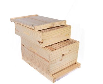 Imagem de Caixa abelha apis pinus langstroth conjunto - SÓ MADEIRAS