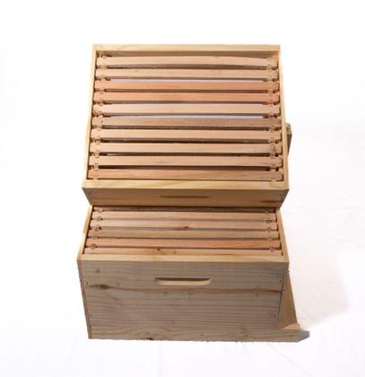 Imagem de Caixa abelha apis pinus langstroth conjunto - SÓ MADEIRAS