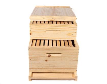 Imagem de Caixa abelha apis pinus langstroth conjunto - SÓ MADEIRAS