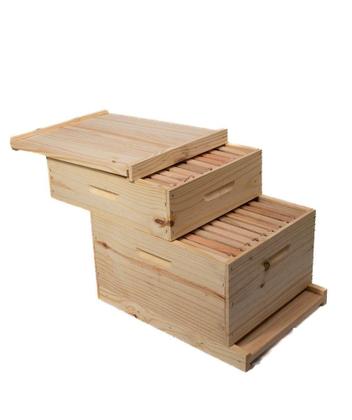 Imagem de Caixa abelha apis pinus langstroth conjunto - SÓ MADEIRAS