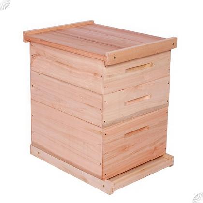 Imagem de Caixa Abelha Padrão Langstroth Eucalipto 2 Melgueiras KIT 5 UNIDADES