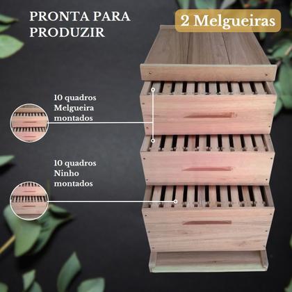 Imagem de Caixa Abelha Padrão Langstroth Eucalipto 2 Melgueiras KIT 5 UNIDADES