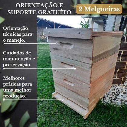 Imagem de Caixa Abelha Padrão Langstroth Eucalipto 2 Melgueiras KIT 5 UNIDADES