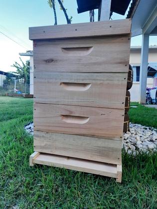 Imagem de Caixa Abelha Padrão Langstroth Eucalipto Com 2 Melgueiras KIT 10 UNIDADES