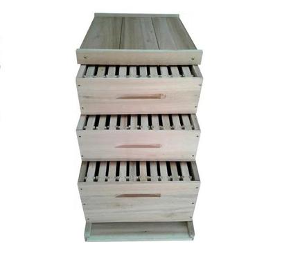 Imagem de Caixa Abelha Padrão Langstroth Eucalipto Com 2 Melgueiras KIT 10 UNIDADES