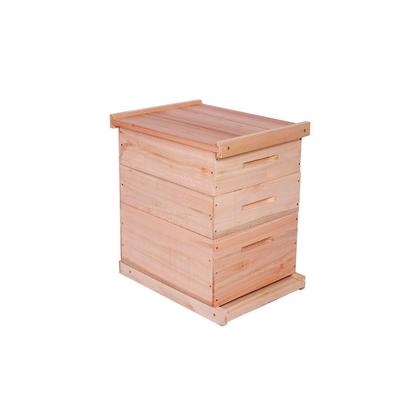 Imagem de Caixa Abelha Padrão Langstroth Eucalipto Com 2 Melgueiras KIT 10 UNIDADES