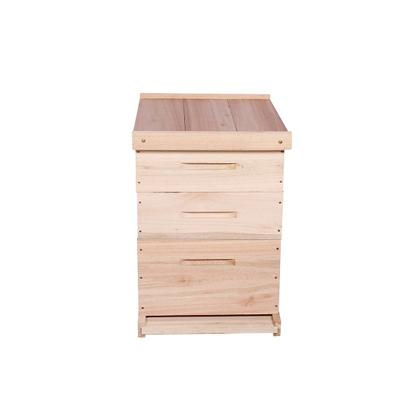 Imagem de Caixa Abelha Padrão Langstroth Eucalipto Com 2 Melgueiras KIT 10 UNIDADES