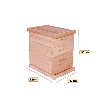 Imagem de Caixa Abelha Padrão Langstroth Eucalipto Com 2 Melgueiras KIT 10 UNIDADES