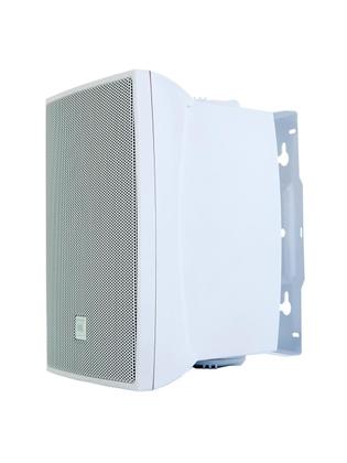 Imagem de Caixa Ambiental Jbl-Selenium C321B Branca 30W Par