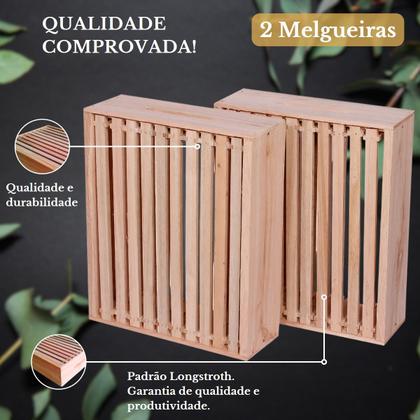 Imagem de Caixa De Abelha Padrão Langstroth Eucalipto Com 2 Melgueiras
