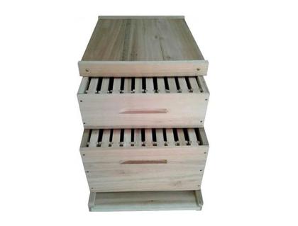 Imagem de Caixa de Abelha Padrão Langstroth Eucalipto KIT ARAME E ILHÓS