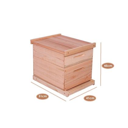 Imagem de Caixa de Abelha Padrão Langstroth Eucalipto KIT ARAME E ILHÓS