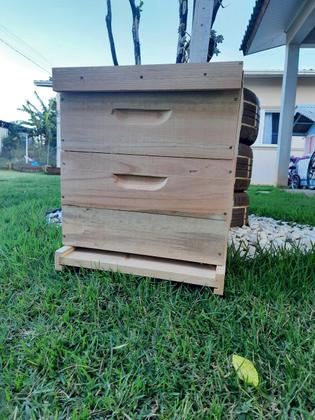 Imagem de Caixa de Abelha Padrão Langstroth Eucalipto KIT ARAME E ILHÓS
