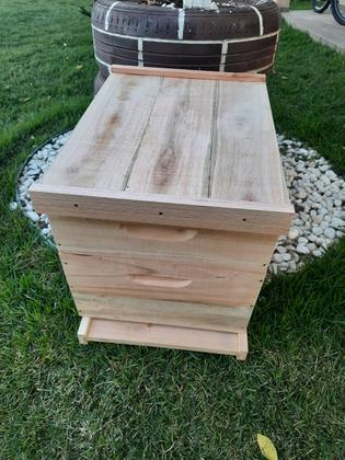 Imagem de Caixa de Abelha Padrão Langstroth Eucalipto KIT ARAME E ILHÓS