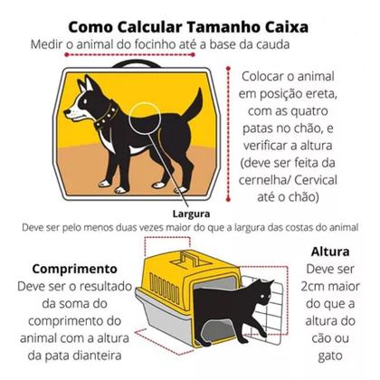 Imagem de Caixa de Transporte Animais N3 + Casa Pet Filhotes Gato Azul