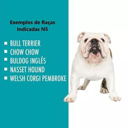 Imagem de Caixa de Transporte Pet N.5 Cachorro Gato Grande Porte