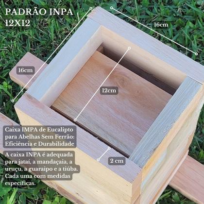 Imagem de Caixa Inpa Para Abelhas Sem Ferrão Eucalipto 3cm