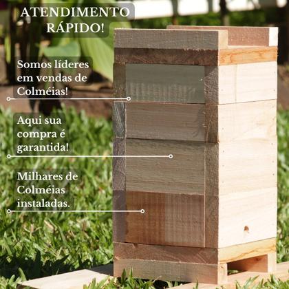 Imagem de Caixa Inpa Para Abelhas Sem Ferrão Eucalipto 3cm