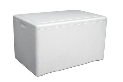 Imagem de Caixa Isopor Pereciveis Medicamentos e Alimentos 170 Litros