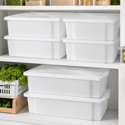 Imagem de Caixa Organizadora Frigorífica Grande 10 Litros com Tampa Freezer Geladeira Salgados Restaurante Açougue Multiuso -